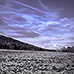 IR-Fotografie