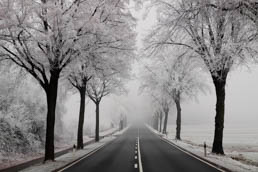 Strasse im Nebel